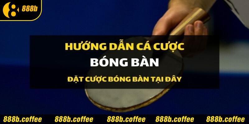 cá cược bóng bàn