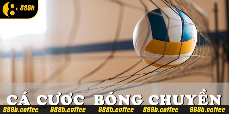 Sơ lược thông tin thú vị về hình thức cược bóng chuyền