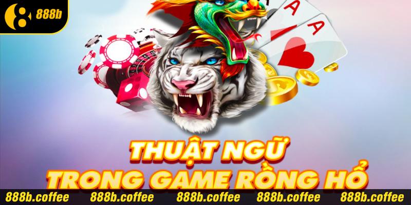 Thuật ngữ quan trọng trong game Rồng Hổ cần nắm rõ