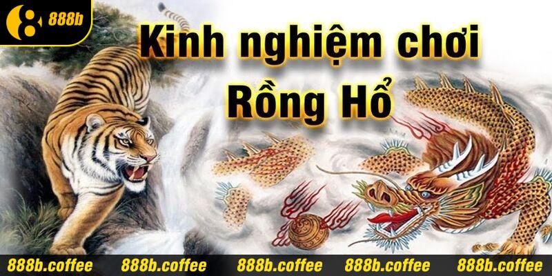 Kinh nghiệm quan trọng giúp thành công khi chơi Rồng Hổ