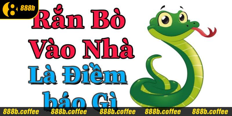 Bật mí rắn bò vào nhà là điềm gì chi tiết nhất